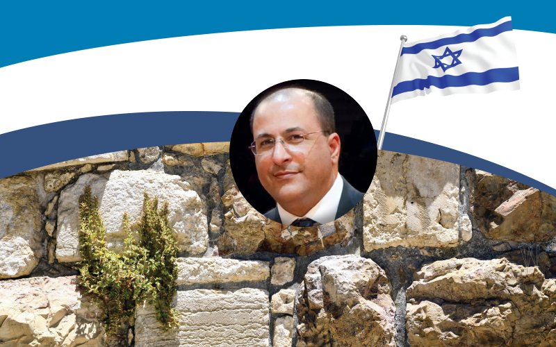 Israel in Turmoil:Prospects for the Future