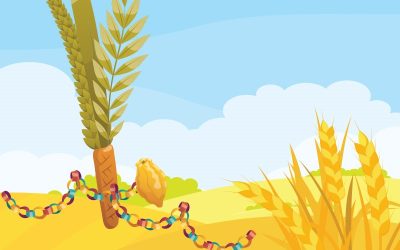 A Sukkot Celebration of Harvest and Giving